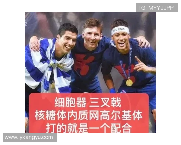 足球明星化妆变身女孩的奇妙旅程与背后的故事揭秘